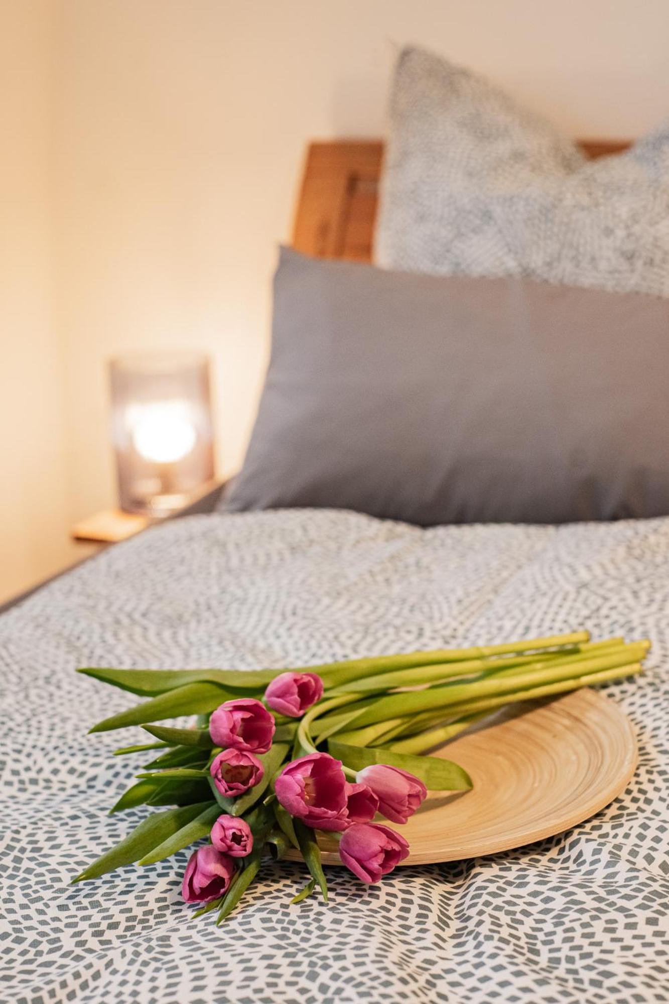 Holly Gmbh Ferienwohnungen Bad Alexandersbad Zewnętrze zdjęcie